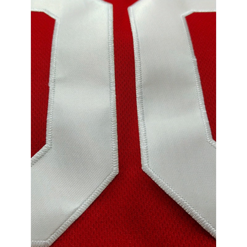 Spersonalizowana koszulka do k – Embroidery Jersey recenzja i cena